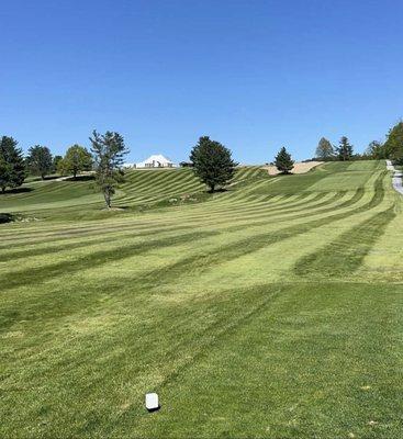 Blue & White Tees-Hole 3