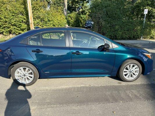 Toyota Corolla in Tahitian Teal