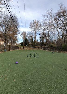 Looking into the park. Doggie jumpy hoops.