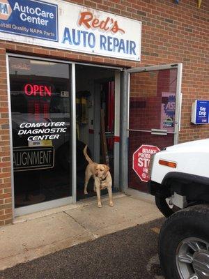 Our greeter , Maisy , is waiting to meet you !