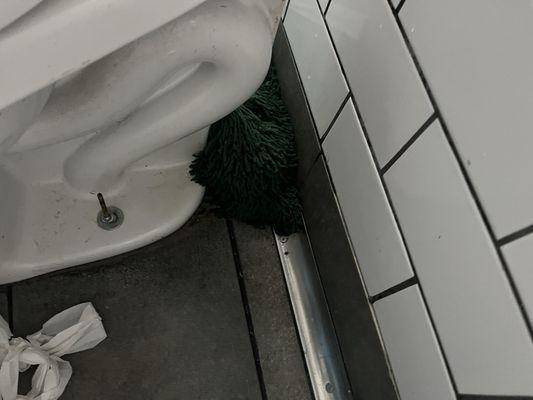 Toilet and dirty mop