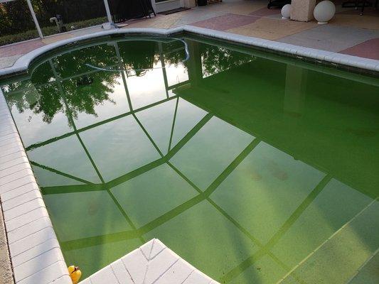 This my pool 2/16/19 I have a copy of the email they sent me around 12 PM saying they add chemicals in my pool