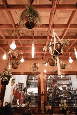 A view of the Motorcycle Shop Window, and the trellis that hangs above the dining room.