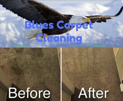 Blues Carpet Cleaning & Air Ducts