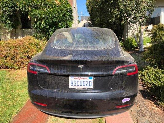 Tesla Model 3 before