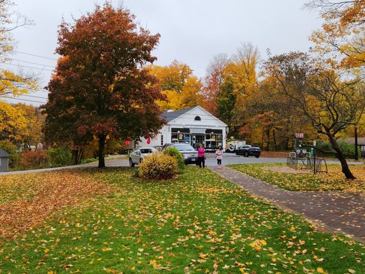 View of the store from the green in front of it. Cloudy day unfortunately