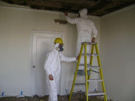 Mold Remediation in Portland