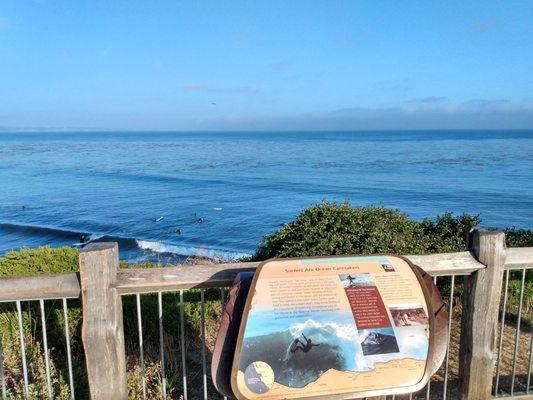 See the surfing Californians in their natural habitat here at the hook!