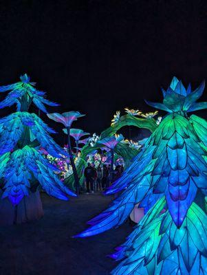 Stockton Lantern Festival Magic Forest