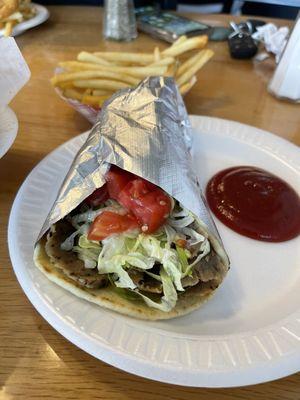 Gyros and Steak Sandwich each come with fries