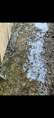 Standing water at fence line and Flooded flower bed