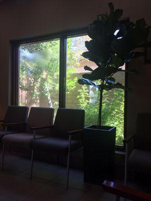 Waiting room, outside is the woods area woh a nice bench.  I like ot