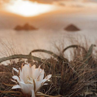 Sunrise overlooking the Mokes