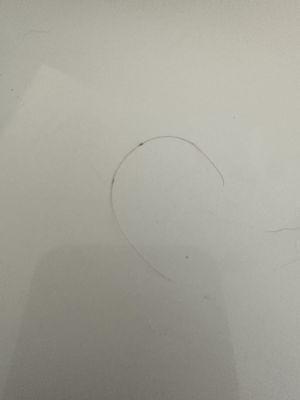 Human hair found in bowl