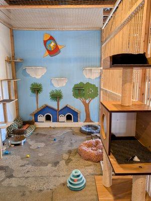 Such a great space for showcasing adoptables! I love the hidden litter box entrances.