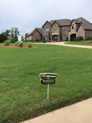 An UltraGreen Lawn coming out of winter dormancy.