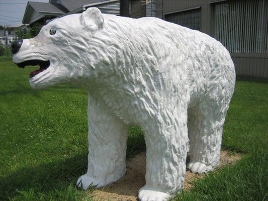 Our friend the polar bear!