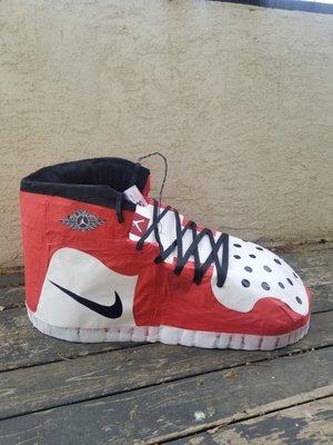 Custom Nike Jordan 1 Shoe