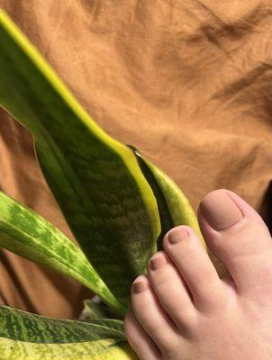 Toes