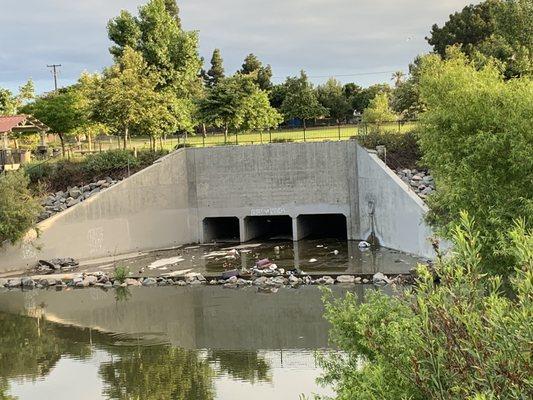 City Officials send out a cleaning crew and get this taken care of immediately! There is  in your budget. This unexceptable!