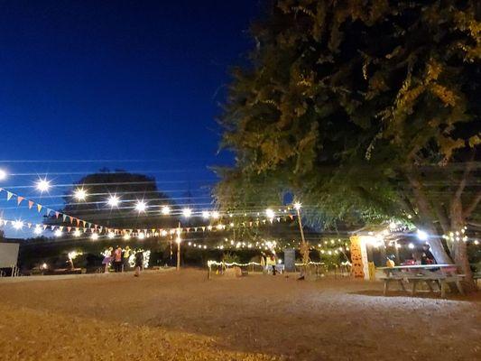 Moreland Pumpkin Patch (Halloween night)