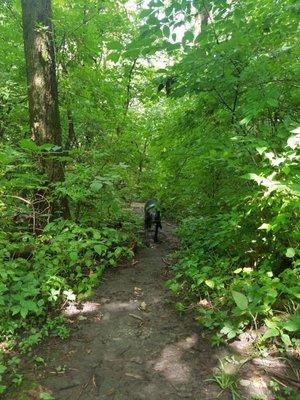 Hiking trail