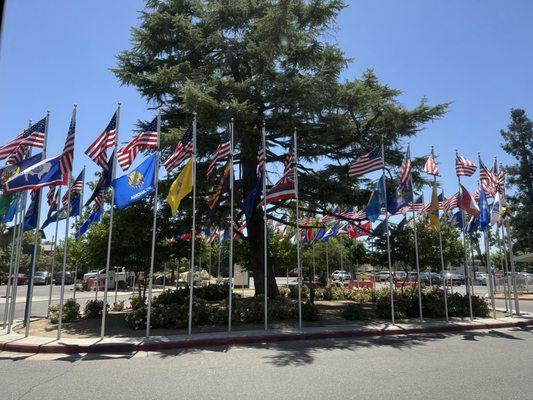 Circle of Flags