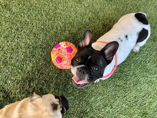 Lucy ready to play at camp