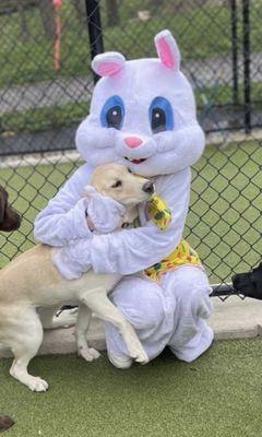 Easter bunny visits T&C