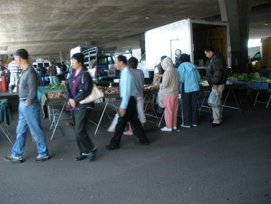 fish market draws crowds late into the shopping experience!