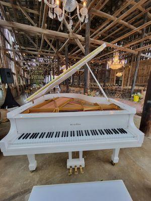 Piano rentals of any kind