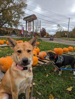 Red Barrel Cider Mill Inc