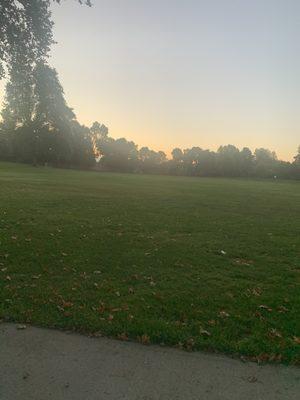 Grass field with soccer snd dog patk