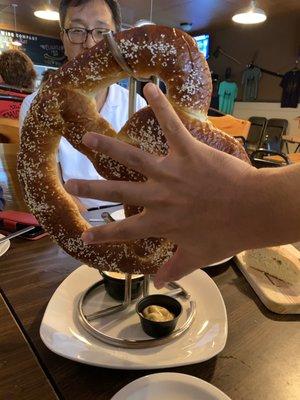 Colossal Pretzel