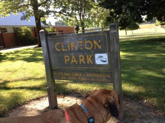 Reilly likes this park!