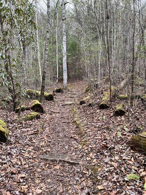 Go up the stairs off the paved path to the upper path to a peaceful hike.