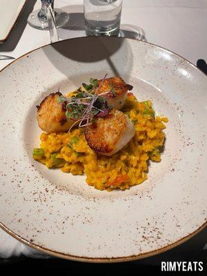 Scallop Risotto; Follow me @RimyEats on Instagram