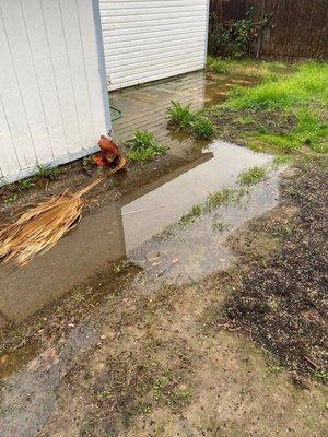 Flooding in back yard