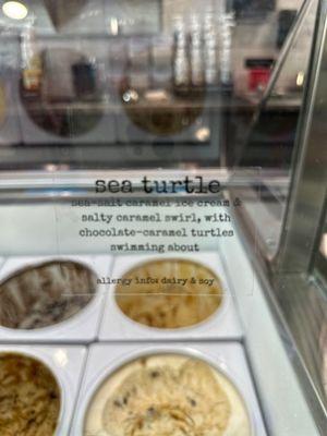 Sea turtle Ice cream