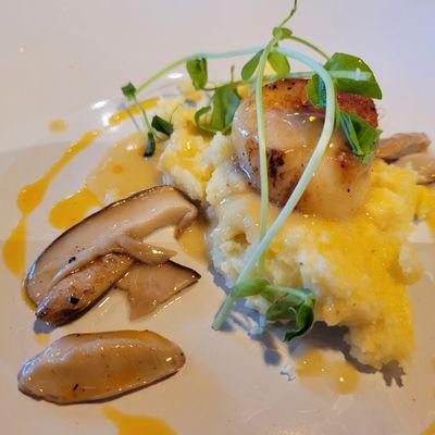 Scallop with polenta and shitake mushrooms.