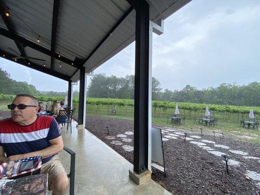 Covered patio with a view of the vineyard.