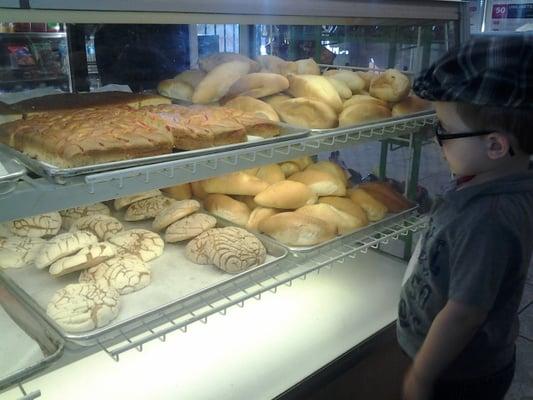 Best pan dulce ever!