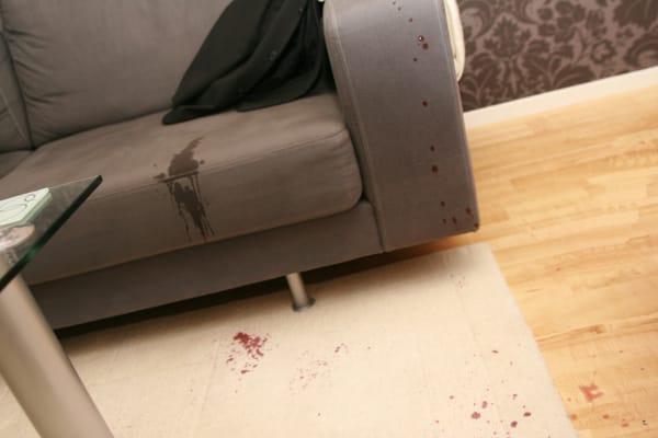 Upholstery Cleaning