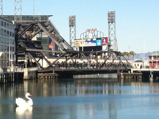 Swan boat by the Park