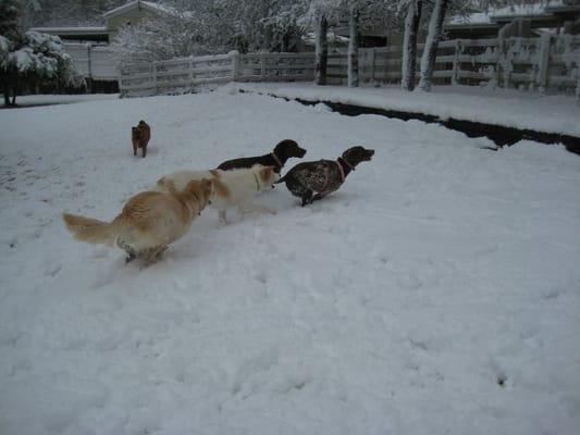 Fun in the Snow