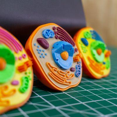 3D Printing for schools