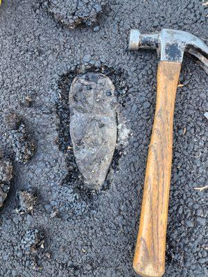 Plastic water bottle embedded in asphalt.