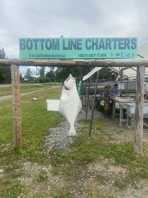 Our largest of 10 halibut.