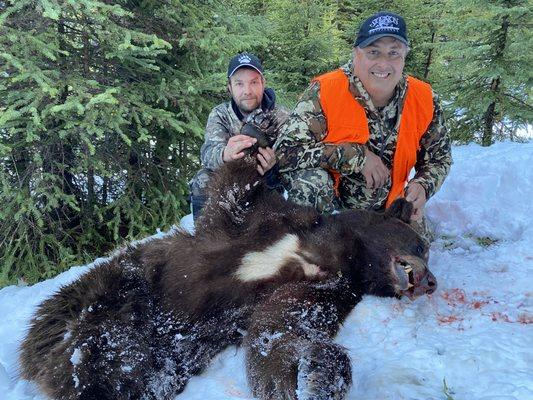 COVID 19 put a damper on the 2020 Spring Bear Season, but Stockton Outfitters was able to to provide several guide service only day.