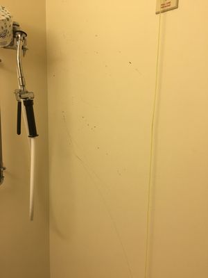 Wall in patient bathroom stained and nasty with I don't know what